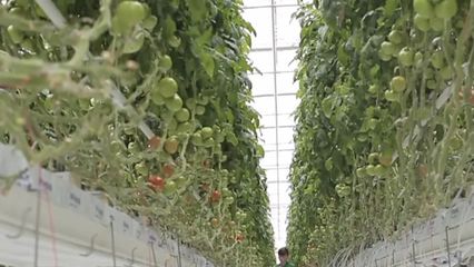 可控核聚变 从“人造太阳”到未来能源的漫漫长路